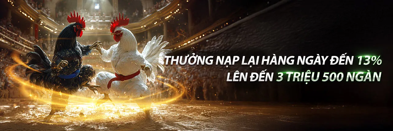 Sân vận động với ánh đèn rực rỡ và logo bj888 code