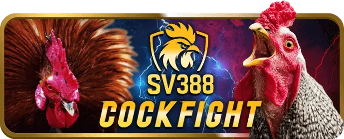 Hướng dẫn đăng ký tài khoản bj888 với mã